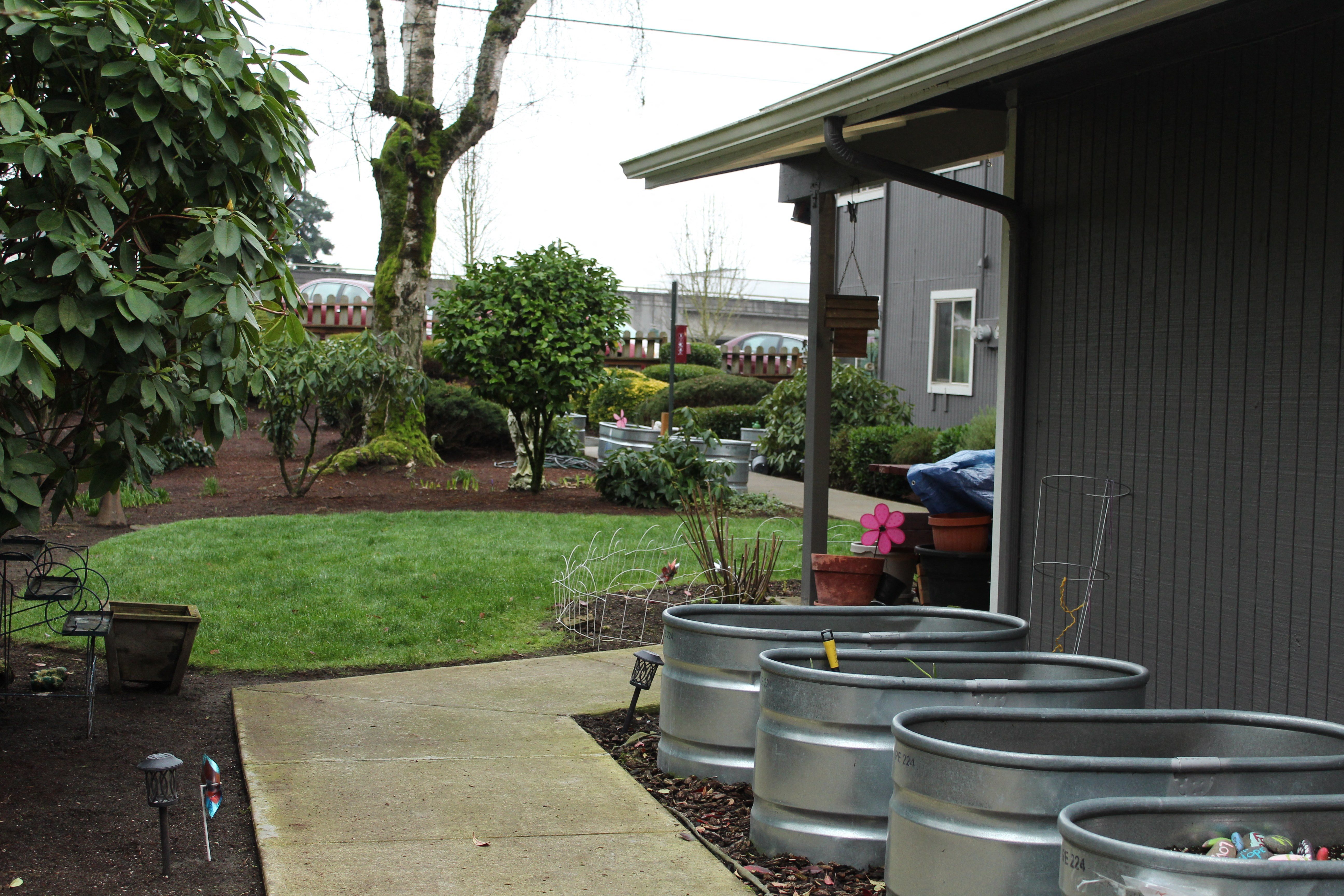 CV backyard from back walk